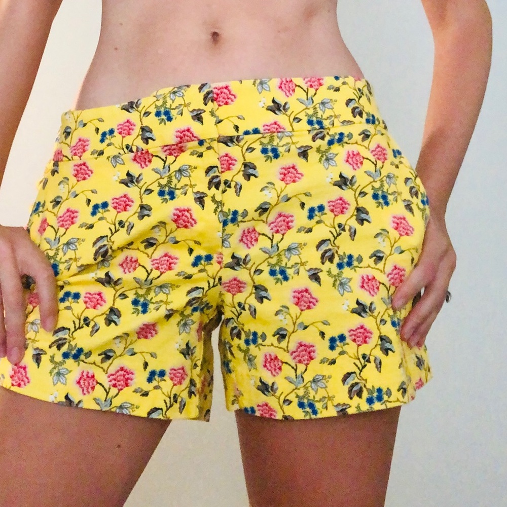 NWOT LOFT Riviera Shorts